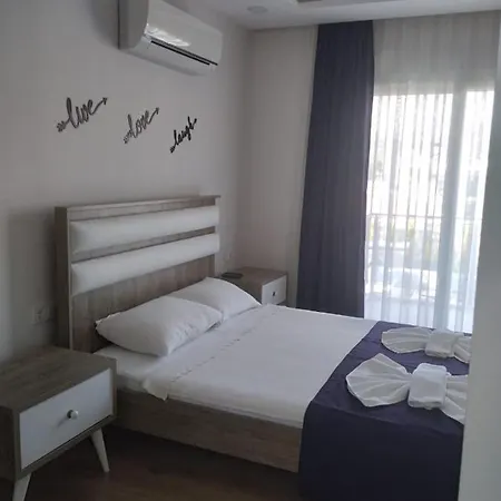 Lilya Hisar 빌라 *