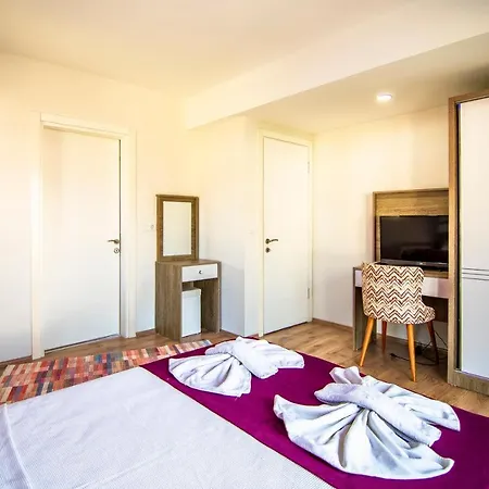 Lilya Hisar Villa *